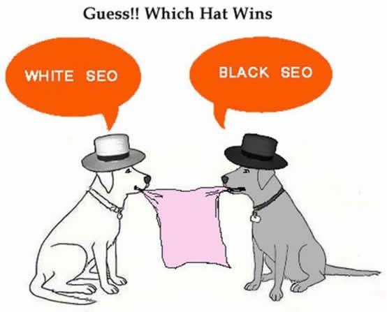 【网络营销-搜索营销】白帽与黑帽的SEO之争